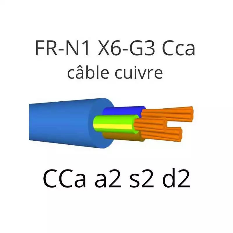 FR-N1X6G3 Cca - s2, d2, a2